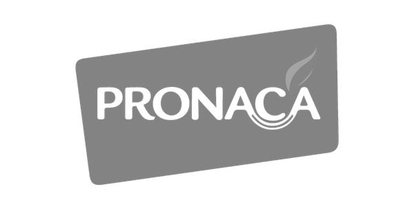 pronaca